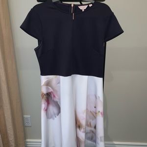 Ted Baker color block dress